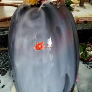 Omkareshwar Jyotirlinga Temple Prasad