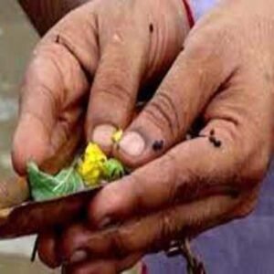 Pitra Tarpan (code:2041)